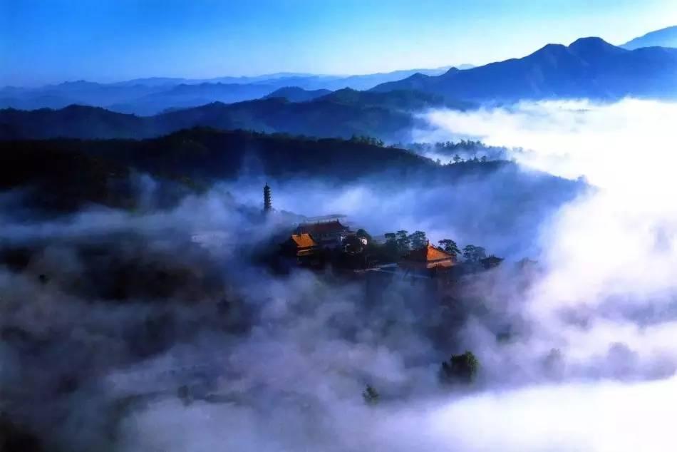 拯救树精灵